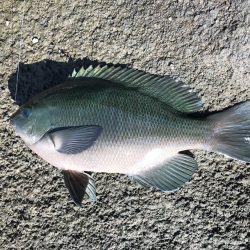 まだまだ台風の傷跡が生々しく残る中