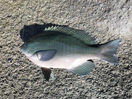 まだまだ台風の傷跡が生々しく残る中