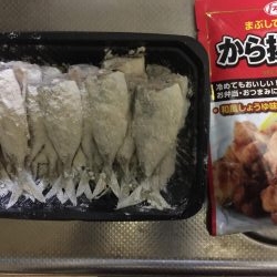 ショアと電気ウキとサビキ