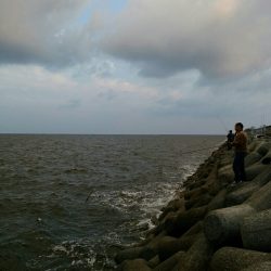 初チヌ！年無し！？