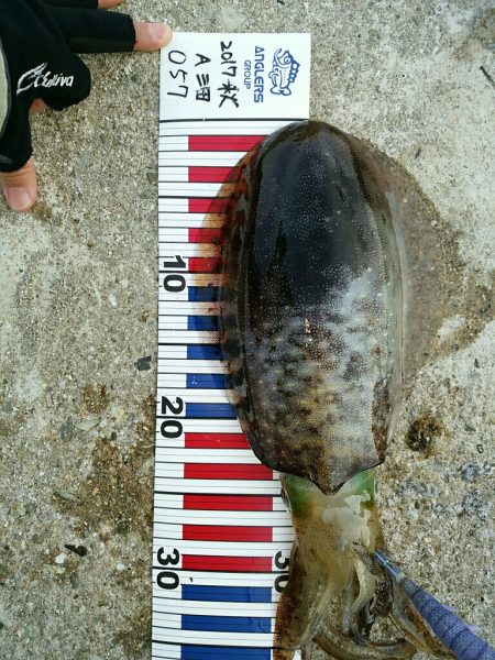 爆風の中の釣行