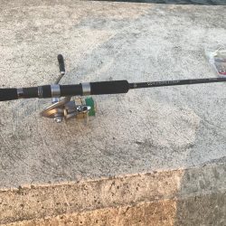 タチウオゲット