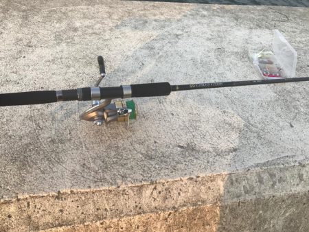 タチウオゲット