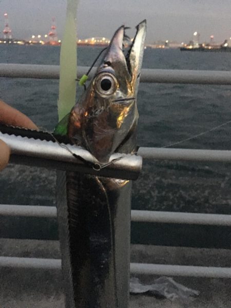 大阪奥湾ワインド ただ巻きパターン