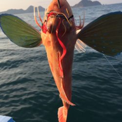 マイボートでタイラバ釣行