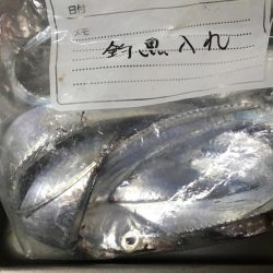 メタルジグで釣れました。