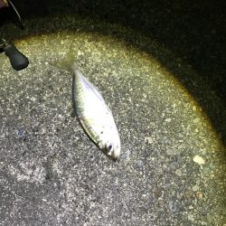 強風ライトゲーム