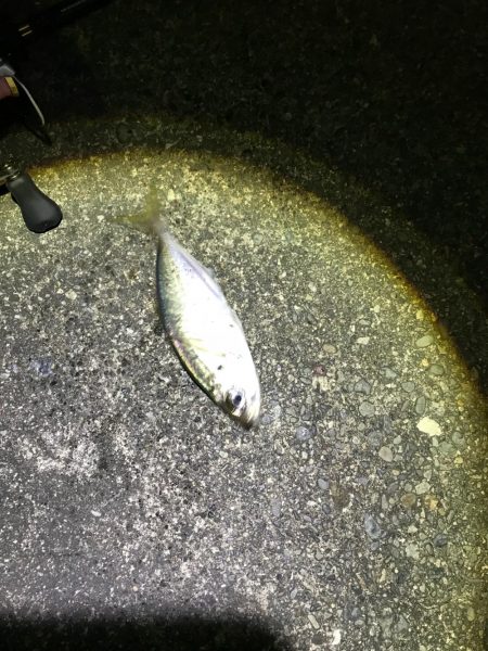 強風ライトゲーム