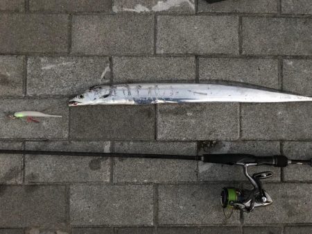 シーバス〜タチウオワインド〜LSJ