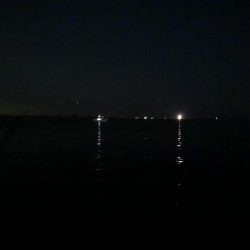 今日もタッチー(^。^)