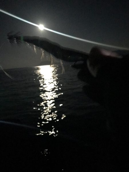 連休最終日初心者にレクチャーエギング