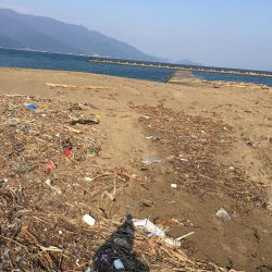 アジングでメバル