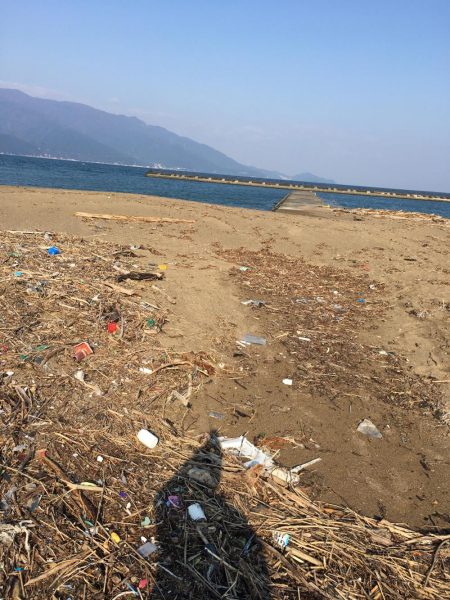 アジングでメバル