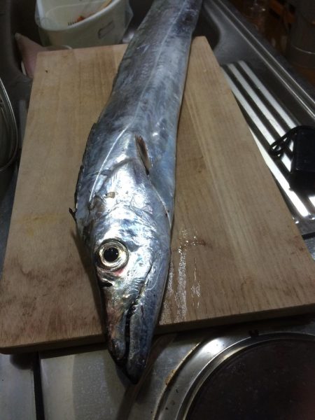 ドラゴン出ました