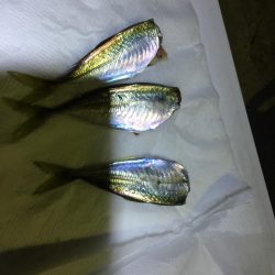 美味しく頂きました^_^