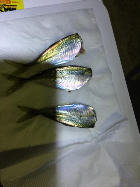 美味しく頂きました^_^