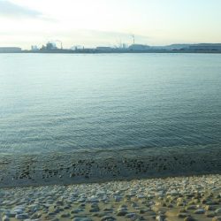 阿南市の那賀川河口でシーバス