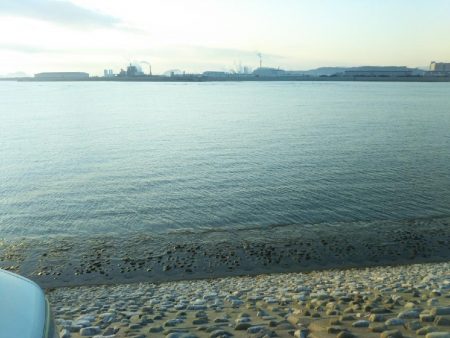 阿南市の那賀川河口でシーバス