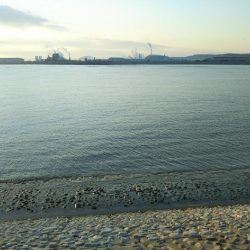 阿南市の那賀川河口でシーバス