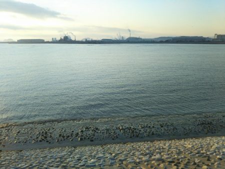 阿南市の那賀川河口でシーバス