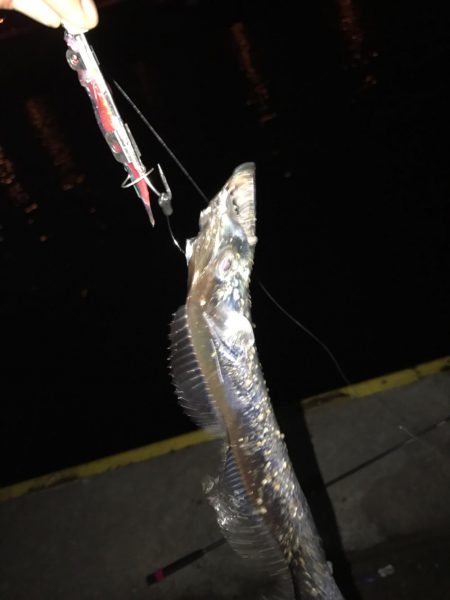 人生初フィッーシュ！おめ♫