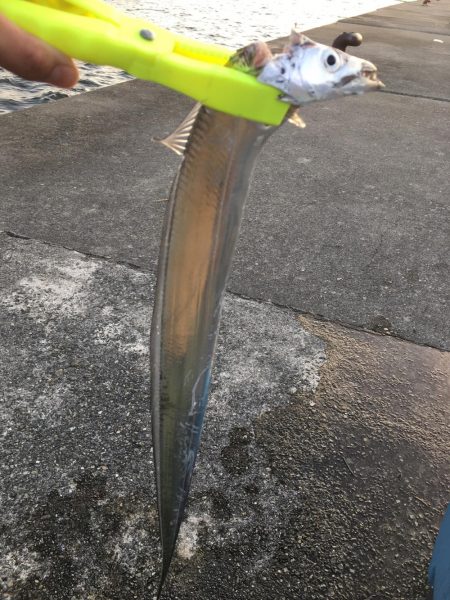 久しぶりの武庫一