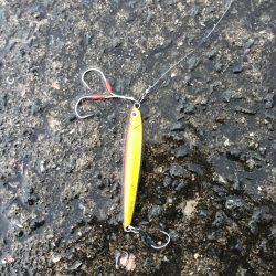 5ヒット2キャッチ したしぶりに楽しんだ