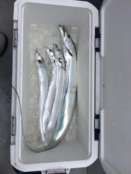 釣り人家さんタチウオ釣り