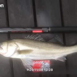 爆釣&初シーバス&初チヌやってもた！！