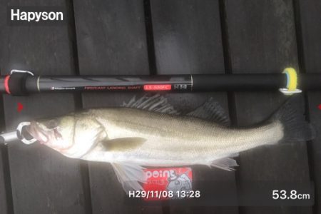 爆釣&初シーバス&初チヌやってもた！！