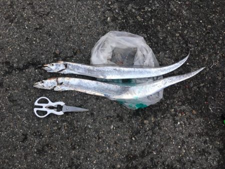 タチウオ釣りリベンジ