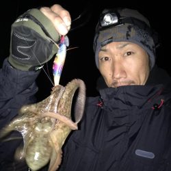 東二見のアオリイカナイト調査