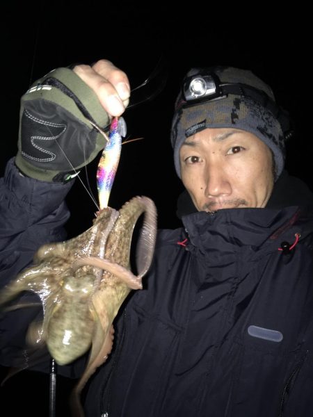 東二見のアオリイカナイト調査