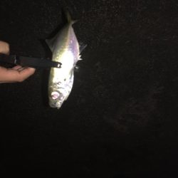 またいつもの場所に行って来ました