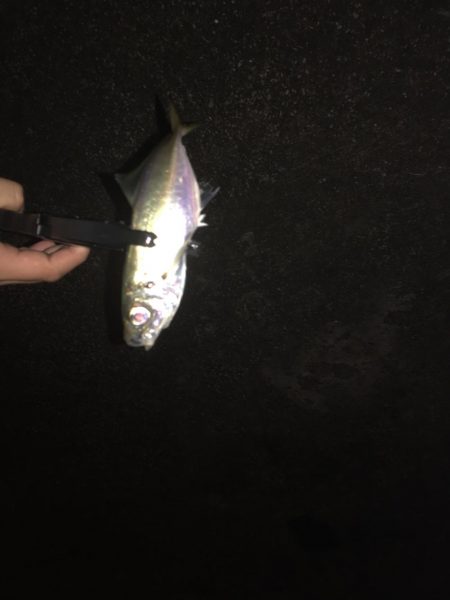 またいつもの場所に行って来ました