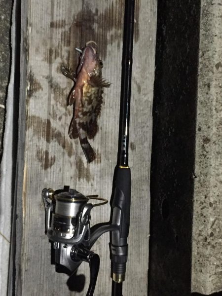 ガシリングになりました