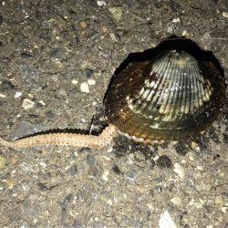 体感風速10m超！？