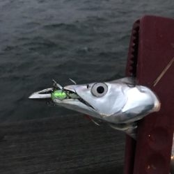 豪雨、爆風…  釣果は？