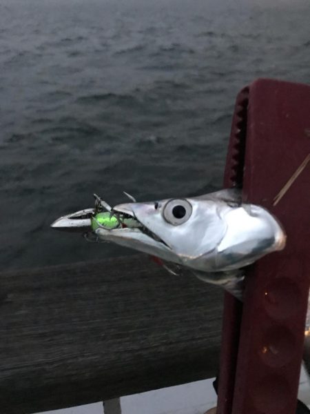 豪雨、爆風…  釣果は？