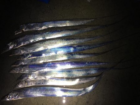 大雨の前にタチウオ