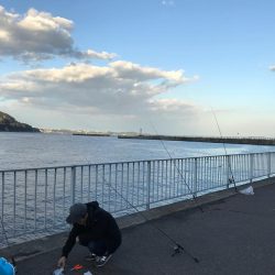 防波堤からイナダ（ハマチ）