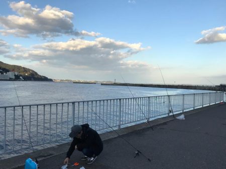 防波堤からイナダ（ハマチ）