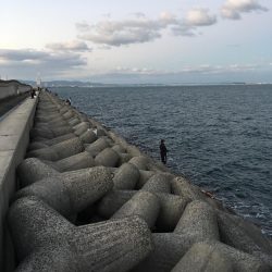 1ヒット1キャッチ 強風の中なんとか