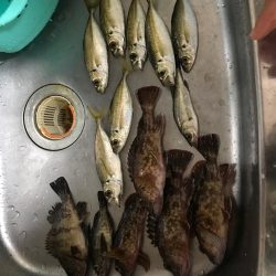 爆風ライトゲーム