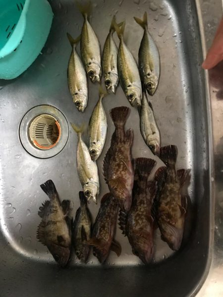 爆風ライトゲーム