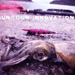 伊根から舞鶴までランガンエギング