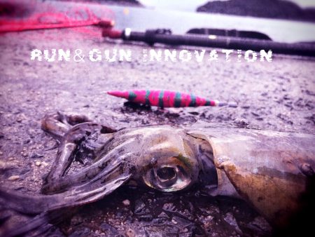 伊根から舞鶴までランガンエギング