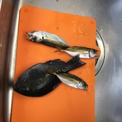 不幸からの釣果
