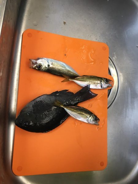 不幸からの釣果