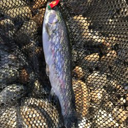 北方 マス釣り体験所